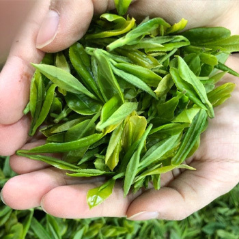 족욕체험장 '차우림'