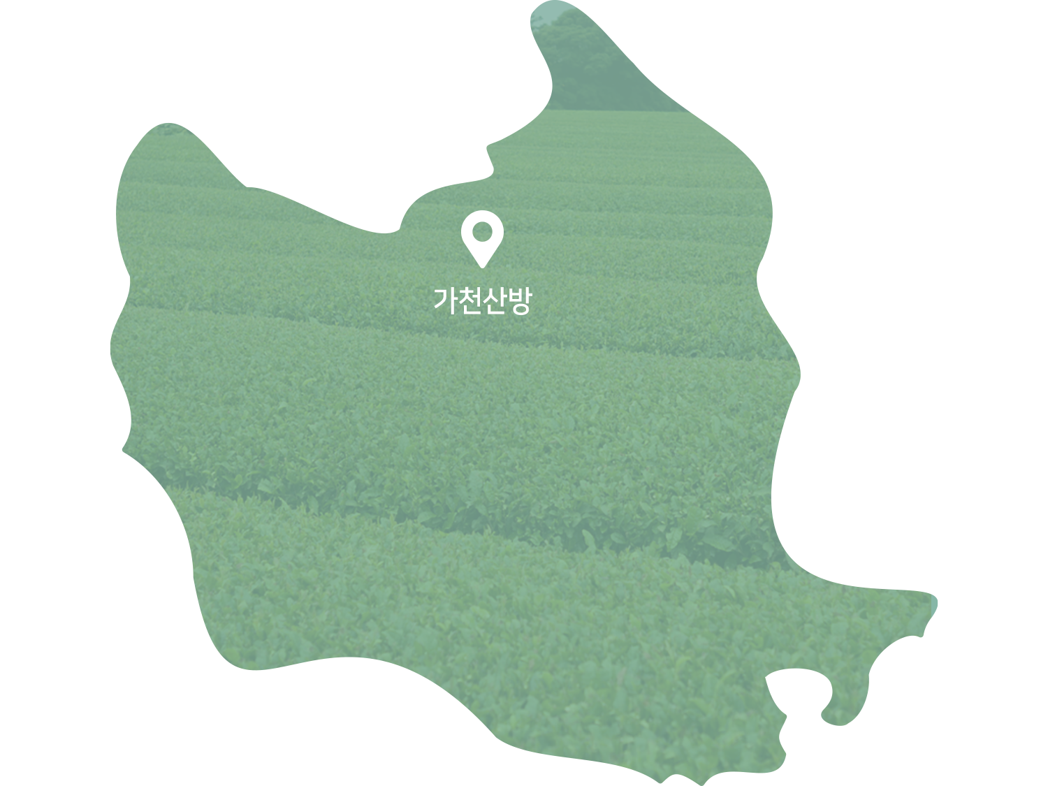 공기 좋고 물 맑은 순천 가천산방